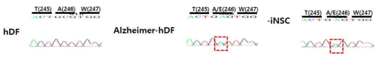 정상 피부세포(좌), 알츠하이머 환자 유래 피부세포(중), 신경중기세포(우) 유전자 분석