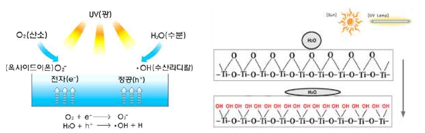 광촉매의 원리