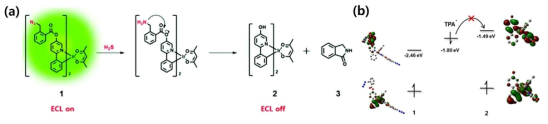 (a) ECL 분석법을 통한 센서 1의 황화수소 검출 전략 (b) DFT 계산을 통한 센서 1과 분자 2의 HOMO/LUMO 특성