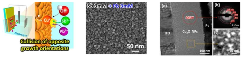 (좌). Cu-base 전기화학성장 모식도, (중) 상반되는 금속활성제에 의한 나노파티클 성장, (우) TEM 분석을 통한 비정질 매트릭스에 나노파티클 입자 내장