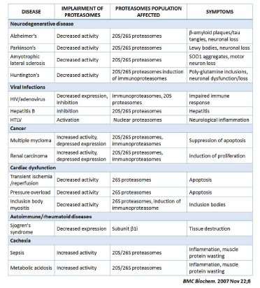 프로테아좀과 질환 연관성