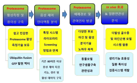 연구추진체계