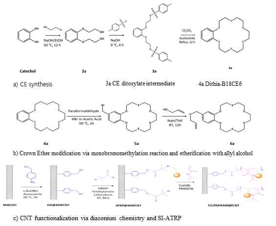 Scheme for the synthesis of 18TCE, modification of CE and 18TCE/NIPAM@CNT