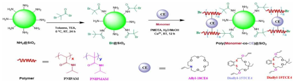 Reaction scheme of poly(NIPAM-co-CE)@SiO2 polymer brushes [P(NIPAM-co-15TCE4)@SiO2; P(NIPAM-co-19TCE4)@SiO2, P(NIPAM-co-18CE6)@SiO2] for Au, Ag, Pb recovery, respectively