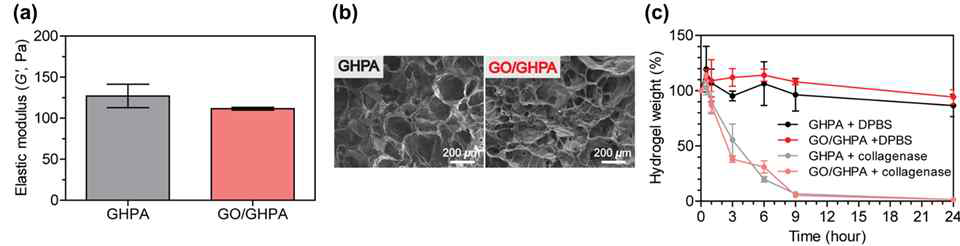 GO/GHPA 하이드로젤의 탄성 계수 (a), SEM 이미지 (b), DPBS 및 collagenase에 대한 분해특성 (c)