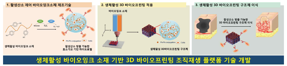 3D 바이오프린팅용 생체 활성 바이오잉크 소재 및 조직재생 플랫폼 기술 개발 모식도