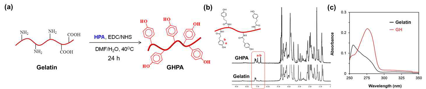 GHPA 합성 모식도 (a), 1H NMR 구조분석 (b), UV-vis를 통한 정량 분석 (c)