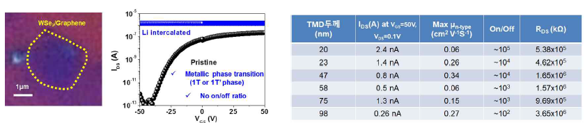 Electro-chemical intercalation을 통한 그래핀/TMD 이종접합 계면에 금속이온 주입 결과