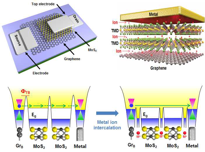 본 연구자가 개발한 그래핀/TMD/금속 적층의 수직-트랜지스터 (Nature Mater., Nature Nanotech. 2013). 2차원물질 접합 동종계면과 이종계면 사이에 계면-에너지장벽(ΦTB)이 존재하여 전자의 흐름을 방해하고 전류량과 이동도를 감소시킴 (본연구자 연구결과, Nature Comm. 2016). 본 연구에서는 접합계면에 금속이온 삽입(intercalation)하여 계면-에너지장벽을 낮추어 오믹접합을 유도하고, 이로 인해 전자의 흐름을 원활히 하여 전류량과 이동도를 월등히 개선하고자 하였음