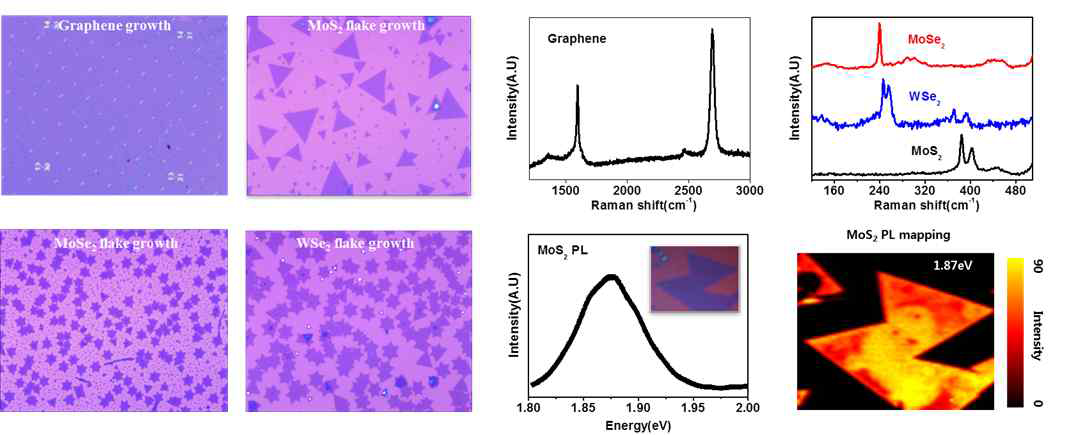 CVD 기법을 이용한 그래핀과 TMD 성장 및 Raman spectrum 및 PL측정을 통한 특성
