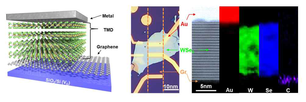 드라이 트랜스퍼 기법을 활용한 그래핀/TMD 반데르발스 이종접합 수직 트랜지스터 제작