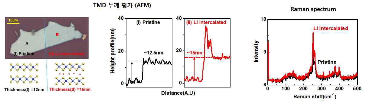 CVD 기법을 이용한 그래핀과 TMD 성장 및 Raman spectrum 및 PL측정을 통한 특성확인