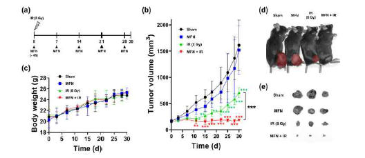 hepa1-6 마우스 모델에서 산소발생 나노입자의 방사선감작효과