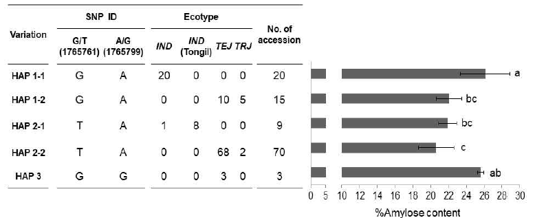 GBSS1의 두 SNP에 의한 117개 계통의 haplotype 분석. Haplotype은 1번 인트론의 스프라이싱 변이(G/T)와 조기개시를 유도하는 변이(A/G)에 의해 3개로 분류됨. 아밀로스 함량은 평균± 표준편차임. 동일한 문자를 갖지 않는 경우 5% 유의수준에서 차이를 보임 (Tukey 검정). IND: indica; IND (Tongil): indica (Tongil); TEJ: temperate japonica; TRJ: tropical japonica. (Adeva 등 2020)