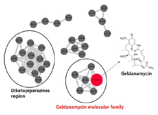 Molecular networking of precursor ions from the crude MeOH extract of Streptomyces sp. M56. The red node matched with GNPS library, which suggested the existence of geldanamycin in this natural source