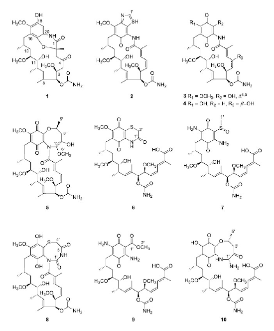 Chemical structures of new compounds (1-10) isolated from Streptomyces sp. M56