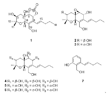 Chemical structures of secondary metabolites (1-7)