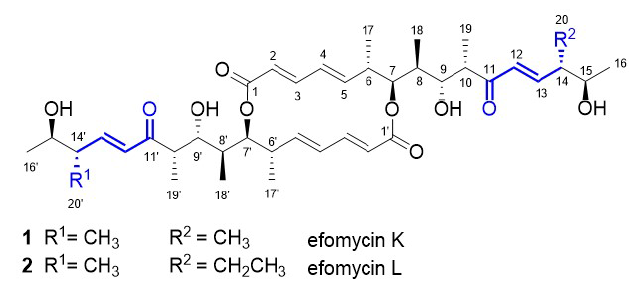 Chemical structures of efomycin K (1) and efomycin L (2)