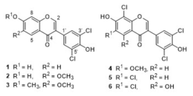 Chemical structure of maduraktermol A-F