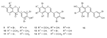 Chemical structure of maduraktermol H-N