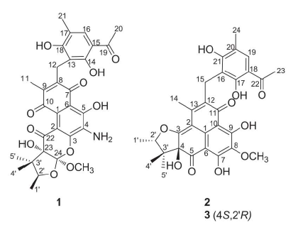 The chemical structures of the isolated compounds 1-3