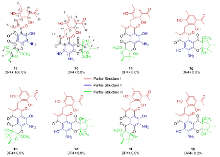 Possible isomer structures of 1 and the DP4+ result