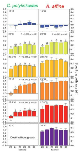 C. polykrikoides와 A. affine의 수온과 염분 구배에 따른 성장률