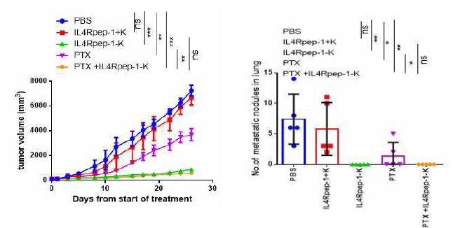 IL4RPep-1-KLA의 Panc1 피하 종양 마우스모델에서 항암 및 전이 억제 효과