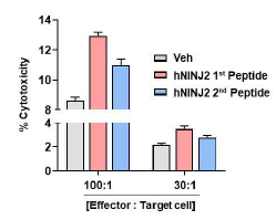 NINJ2 peptide를 이용한 T cell sensing. sensing T cell (Effector cell)과 NINJ2 O/E MKN-74 (Target cell) 공배양 후 target cell의 cytotocxicity을 검증 함