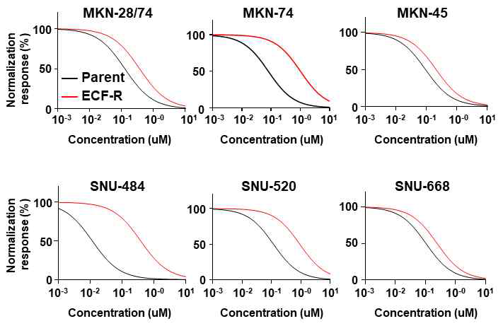 Parent와 ECF-R gastric cancer cell에서 ECF의 감수성 확인