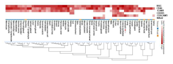 [Protein level] human normal tissue에서 BSG, CD44, ICAM1, CDHR5, CEACAM5, NINJ2 발현 분석. (Proteome database, “ProteomicsDB”). Red arrow: Stomach 표시