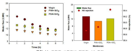 개질된 삼투기반 분리막 성능평가