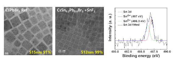 저납계 페로브스카이트 나노결정 TEM 이미지와 Sn/Pb 비율 측정을 위한 XPS 데이터