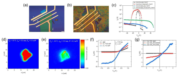 (a) Rubrene/MoS2 FET와 (b) CsPbBr3-QDs을 흡착시킨 rubrene/MoS2 n-p 이종접합 FET의 광학 현미경 이미지. (c) CsPbBr3-QDs 흡착에 의한 FET의 역이중극성 특성 곡선 변화 (빛 조사 전과 후). (d) Rubrene/MoS2와 (e) rubrene/MoS2/CsPbBr3-QDs에서 광전류 이미지 비교. Rubrene/MoS2 n-p 이종접합 FET에 CsPbBr3-QD을 (f) 흡착시키기 전과 (g) 후의 빛의 세기에 따른 광기전 특성 변화