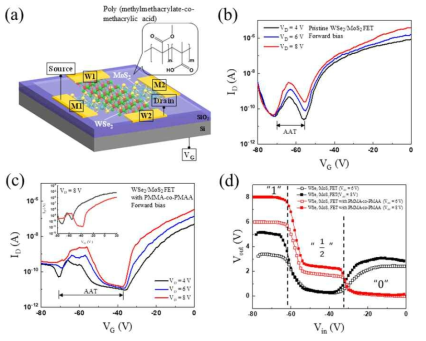 (a) 교차구조 WSe2/MoS2 n-p 이종접합 트랜지스터의 개념도. 기능성 유기고분자인 PMMA-co-PMAA (b) 표면 처리 전과 (c) 후의 WSe2/MoS2 트랜지스터의 ID vs. VG 특성 곡선. (d) PMMA-co-PMAA 처리 전(검정색)과 후(빨강색) 삼진법 인버터 특성 곡선 비교