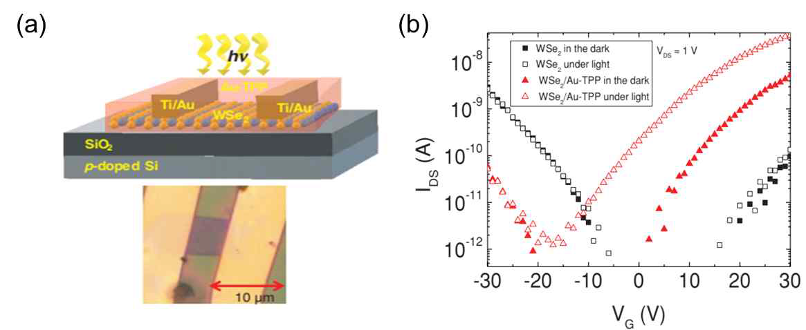 (a) Au-TPP/WSe2 FET에 빛을 조사해 주는 소자 개념도와 광학현미경 이미지. (b) Au-TPP/WSe2 FET 광전류 특성 비교