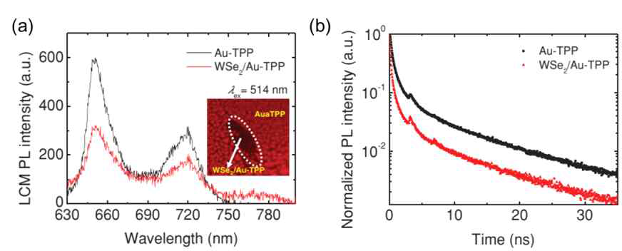 Au-TPP (검정색)와 Au-TPP/WSe2 (빨강색)의 (a) LCM PL 스펙트럼과 (b) Tr-PL 스펙트럼 감쇠 신호