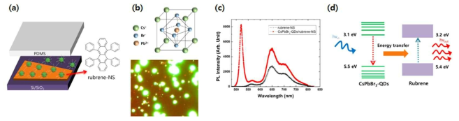 (a) Rubrene 나노판 위에 PDMS 스탬프를 이용하여 CsPbBr3-QDs을 흡착시키는 과정. (b) CsPbBr3-QDs 화학구조와 rubrene/CsPbBr3-QDs의 CCD 이미지. (c) Rubrene 나노판과 rubrene/CsPbBr3-QDs 하이브리드 LCM PL 스펙트럼 비교. (d) FRET 효과에 의한 rubrene 나노판의 PL 증가 개념도