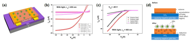 (a) Rubrene/CsPbBr3-QDs FET 개념도. (b) Rubrene 나노판과 rubrene/CsPbBr3-QDs의 FET (b) 출력(output), (c) 전달(transfer) 특성 곡선 (λex=455 nm). (d) CsPbBr3-QDs 하이브리드 전과 후의 rubrene FET의 전하 분포 개념도