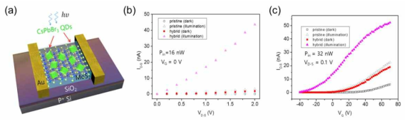 (a) MoS2/CsPbBr3-QDs 하이브리드 트랜지스터의 개념도. (b) MoS2 (pristine)와 MoS2/CsPbBr3-QDs 하이브리드 FET의 output 특성 곡선; 빛 인가 전과 후. (c) 빛의 입사 유무에 따른 MoS2와 MoS2/CsPbBr3-QDs FET의 전달(transfer) 특성 곡선