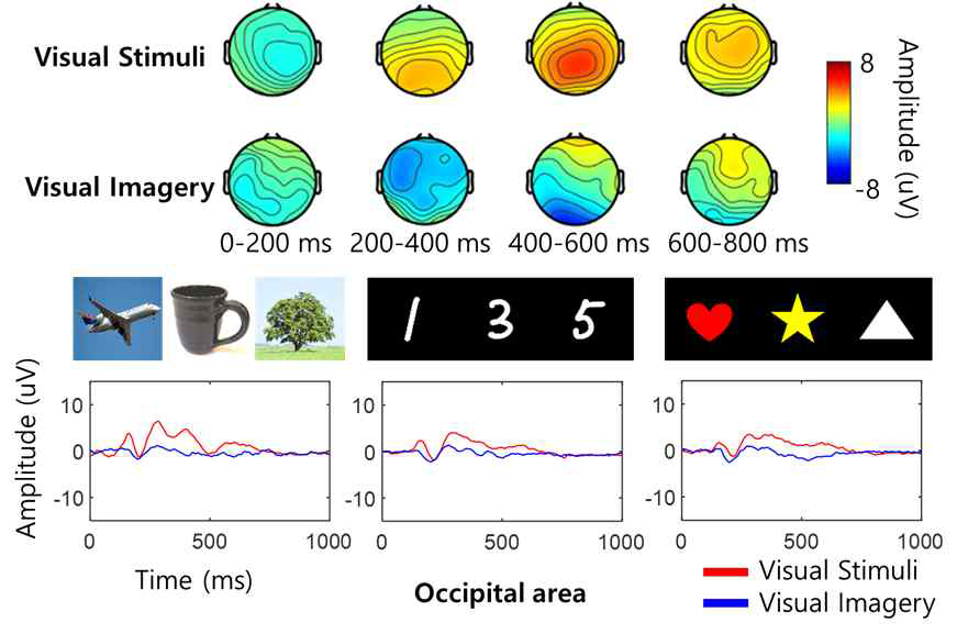 ERP 관점에서 분석한 시각 자극과 상상 이미지로 유도된 뇌파 특징 차이