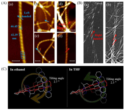 (A) 용매에 따른 AFM 이미지 (a) ethanol, (b) methanol, (c) DMSO/H2O 5:1, (d) THF, and (e) chloroform. (B) 용매에 따른 SEM 이미지 (a) ethanol (b) DMSO/water (5:1 v/v). (C) ethanol 과 THF에서 형성된 나선구조의 경사각