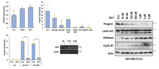 JH-010, D-011의 H3K9Me3의 발현증가 활성