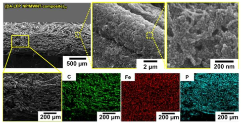 주사전자현미경 및 energy dispersive X-ray spectroscopy (EDS) mapping을 통해 분석된 직물 소재 지지체 내부/외부 섬유에 균일하게 코팅된 LiFePO4 나노입자 및 탄소 나노튜브