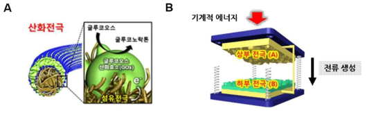 에너지 발생소자 모식도 (A) 고전도성 면섬유 기반 바이오 연료전지 (B) 고분자 탄성체 기반 마찰전기 발전소자