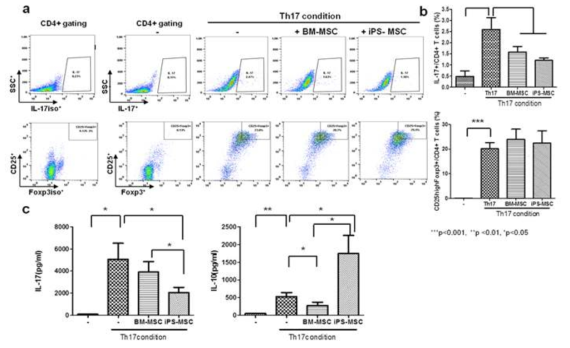 Th17 세포 면역반응에서 유도줄기세포와 골수줄기세포의 면역 조절능 조사