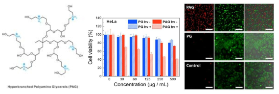 PAG 고분자를 이용한 암세포 실험