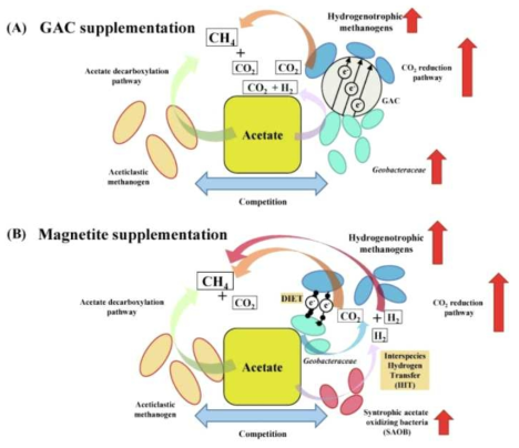 GAC 및 Magnetite 주입에 따른 메탄생성 관련 DIET 메커니즘에 대한 개념도