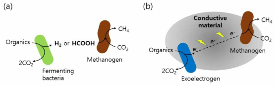 이종간(異種間) 협업을 통한 메탄생성의 경로. (a) 전자 운반체를 통한 메탄생성. (b) 전도성 물질을 이용한 메탄생성