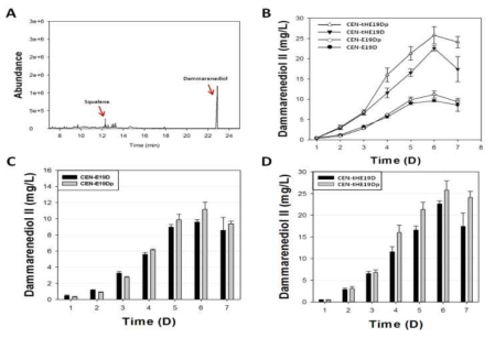 진세노사이드 생합성 대사 회로에서 상위 3개 유전자인 ERG9, ERG1, DS의 중간대사체인 dammarenediol II의 PTS1 및 truncated HMG1(tHMG1)유무에 따른 발현 차이를 7일 flask culture를 통해 GC/MS 정성/정량 분석 결과. (A, squalene과 dammarenediol II의 GC/MS 정성 분석 결과; B, CEN-E19D, CEN-E19Dp, CEN-tHE19D, 그리고 CEN-tHE19Dp에서 생산된 dammarenediol II의 정량 분석 결과; C, CEN-E19D, CEN-E19Dp의 dammarenediol II의 정량 분석 결과; D, CEN-tHE19D, 그리고 CEN-tHE19Dp에서 생산된 dammarenediol II의 정량 분석 결과)